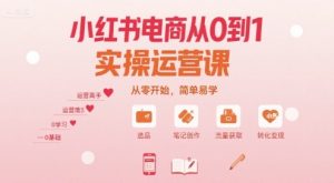 小红书电商从0到1实操运营课,从零开始,简单易学-数智网创