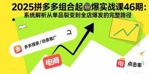 2025拼多多组合起爆实战课46期:系统解析从单品裂变到全店爆发的完整路径-数智网创