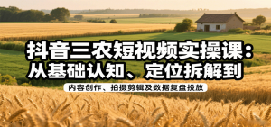 抖音三农短视频实操课：从基础认知、定位拆解到内容创作、拍摄剪辑及数据复盘投放-数智网创