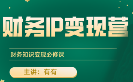 有有老师·财务IP变现营，财务知识变现必修课-数智网创