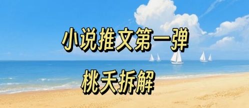 小说推文项目操作全流程第一弹，0粉就能做，门槛低非常适合新手-数智网创