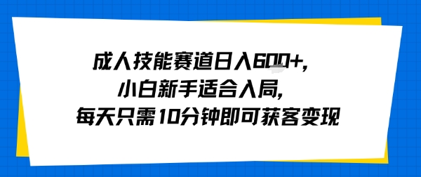 成人技能赛道日入多张，小白新手适合入局，每天只需10分钟即可获客变现-数智网创