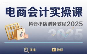 电商会计实操课-抖音小店财务教程2025-数智网创