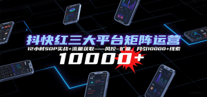 抖快红三大平台矩阵运营，12小时SOP实战+流量获取-风控-扩量，月引10000+线索-数智网创