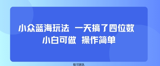 小众蓝海玩法 一天搞了四位数 小白可做 操作简单-数智网创