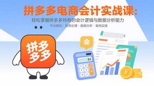 拼多多电商会计实战课：轻松掌握拼多多特有的会计逻辑与数据分析能力-数智网创