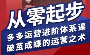 拼多多运营进阶系统课，从零起步，多多运营进阶体系课，破茧成蝶的运营之术-数智网创