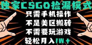 CSGO自动捡漏项目，最新独家玩法，不是美区搬砖，不需要了解和玩游戏，新手小白轻松月入1W+【揭秘】-数智网创