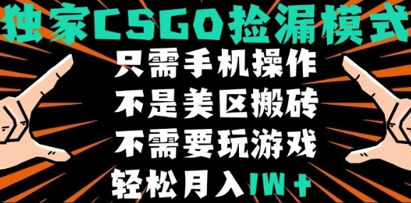 CSGO自动捡漏项目，最新独家玩法，不是美区搬砖，不需要了解和玩游戏，新手小白轻松月入1W+【揭秘】-数智网创
