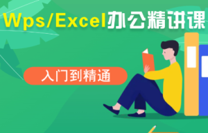 夏老师·WPS Excel办公(精讲课)-数智网创