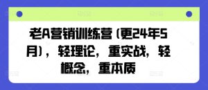 老A营销训练营(更25年8月)，轻理论，重实战，轻概念，重本质-数智网创