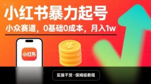 小红书暴力起号，小众赛道，0基础0成本，月入1w-数智网创