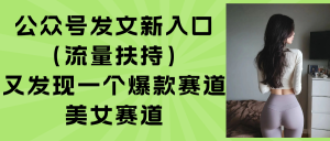 公众号发文新入口(流量扶持-数智网创