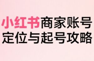 小红书电商全链路实战从定位到爆单，系统拆解小红书商家起号全流程(更新)-数智网创