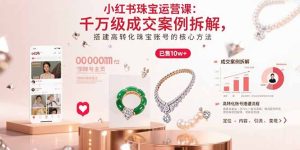 小红书珠宝运营课：千万级成交案例拆解，搭建高转化珠宝账号的核心方法-数智网创