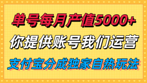 单月产值5000+，支付宝分成代运营，你提供账号坐等分钱，我们帮你运营-数智网创