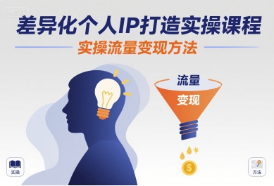 差异化个人IP打造实操课程，实操流量变现方法-数智网创