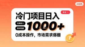 在小红书上发现个冷门路子，需求不小，零成本操作，每天能有1k进账-数智网创
