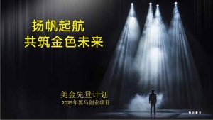 美金对冲创业项目，日收益1000-3000，小众暴力项目稳定运行8年-数智网创