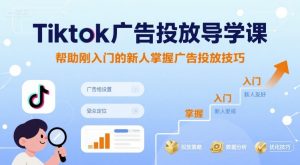 Tiktok广告投放导学课，帮助刚入门的新人掌握广告投放技巧-数智网创