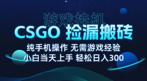 8月最新游戏搬砖，CSGO纯挂机，不需要玩游戏，实现真挂机，月入1W+-数智网创