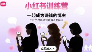 小红书训练营一起成为賺钱的博主，小红书是最适合普通人的风口-数智网创