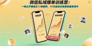 微信私域爆单训练营：一场公开课成交33单案例，99元自动训练营批量变现术-数智网创