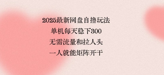 2025最新网盘自撸玩法,单机每天稳下3张,无需流量和拉人头,一个人就可轻松矩阵,全网独一份【揭秘】-数智网创