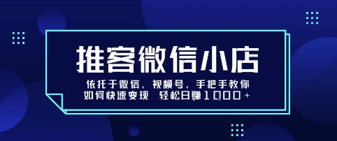 推客微信小店依托于微信、视频号,手把手教你如何快速变现 轻松日入1k+【揭秘】-数智网创