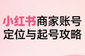 大晴老师·小红书电商全链路实战从定位到爆单(更新8月)-数智网创