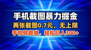 手机截图暴力掘金，两张截图0.7米，一部手机就能做，轻松日入3张+【揭秘】-数智网创