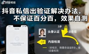 抖音私信出验证解决办法，不保证百分百，效果自测-数智网创