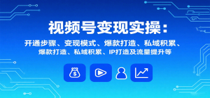 视频号变现实操，含开通步骤、变现模式、爆款打造、私域积累、IP打造及流量提升等-数智网创