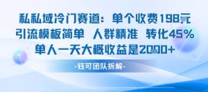 私域冷门赛道单个收费198米引流模板简单人群精准 45%的转化率单人一天大概收益多张-数智网创