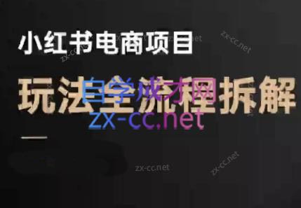 菲菲老师·小红书电商玩法(更新9月)-数智网创