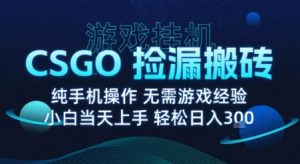 8月最新游戏搬砖,CSGO纯挂G,不需要玩游戏,实现真挂G,月入1W+【揭秘】-数智网创