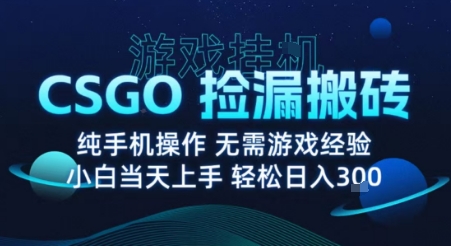 8月最新游戏搬砖，CSGO纯挂G，不需要玩游戏，实现真挂G，月入1W+【揭秘】-数智网创