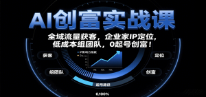 AI创富实战课：企业家IP定位，全域流量获客，低成本组团队，0起号创富！-数智网创