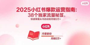 2025小红书爆款运营指南：38个独家流量秘笈，快速掌握从冷启动到月销5万+-数智网创