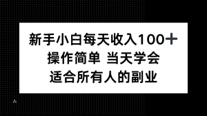 新手小白每天收入100+，操作简单 当天学会 ，适合所有人的副业-数智网创