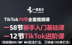 TikTok全套视频课，新手入门+进阶课，短视频ADS-GMV MAX投流打品，日销破1000单打法-数智网创