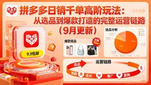 拼多多日销千单高阶玩法：从选品到爆款打造的完整运营链路(9月更新-数智网创