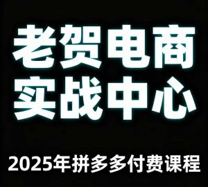 老贺电商2025年拼多多付费课程，用通俗易懂的方法告诉你多多怎么玩-数智网创