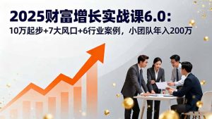 2025财富增长实战课6.0：10万起步+7大风口+6行业案例，小团队年入200万-数智网创