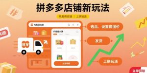 拼多多店铺新玩法,代发供应链上拼玩法-数智网创