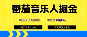 番茄音乐人掘金，单账号最高可撸1k+，可无限矩阵去做，零投入-数智网创
