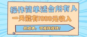 操作简单适合所有人全自动挂机项目,一天能有1000元收入,低成本,可矩...-数智网创