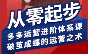 海神·拼多多运营进阶系统课(更新9月)-数智网创