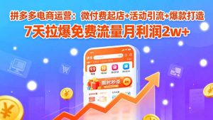 拼多多电商运营:微付费起店+活动引流+爆款打造 7天拉爆免费流量月利润2w+-数智网创