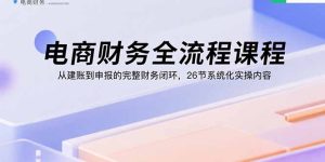 电商财务全流程课程：从建账到申报的完整财务闭环，26节系统化实操内容-数智网创